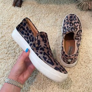 Steve Madden Cheetah Sneakers